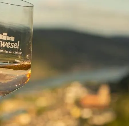 شقة -1-zentral-traumwohnung-rhein *